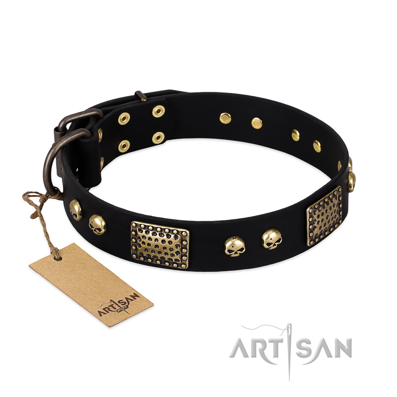 "Biker Style" FDT Artisan Black Leather Rottweiler Collar with Old Bronze Look Plates and Skulls