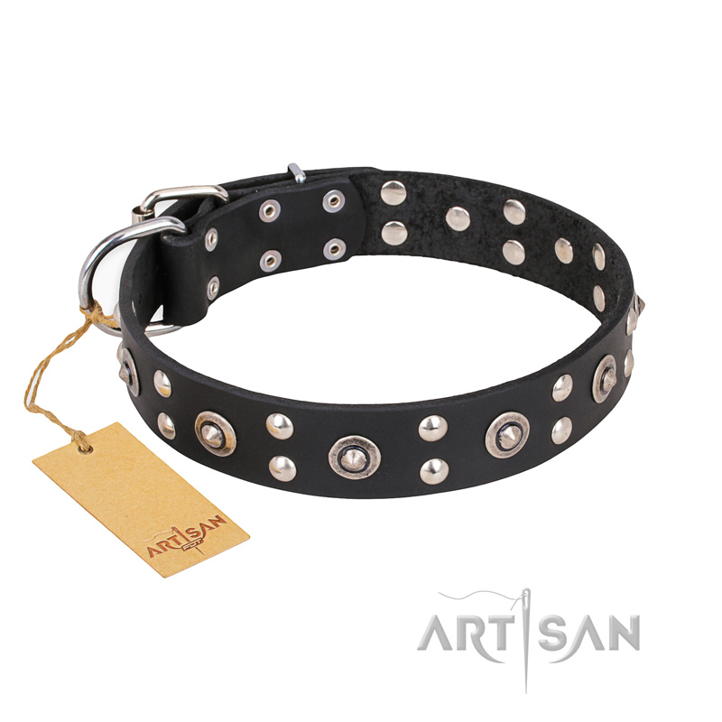"Refined Essence" FDT Artisan Black Leather Rottweiler Collar with Silvery Studs