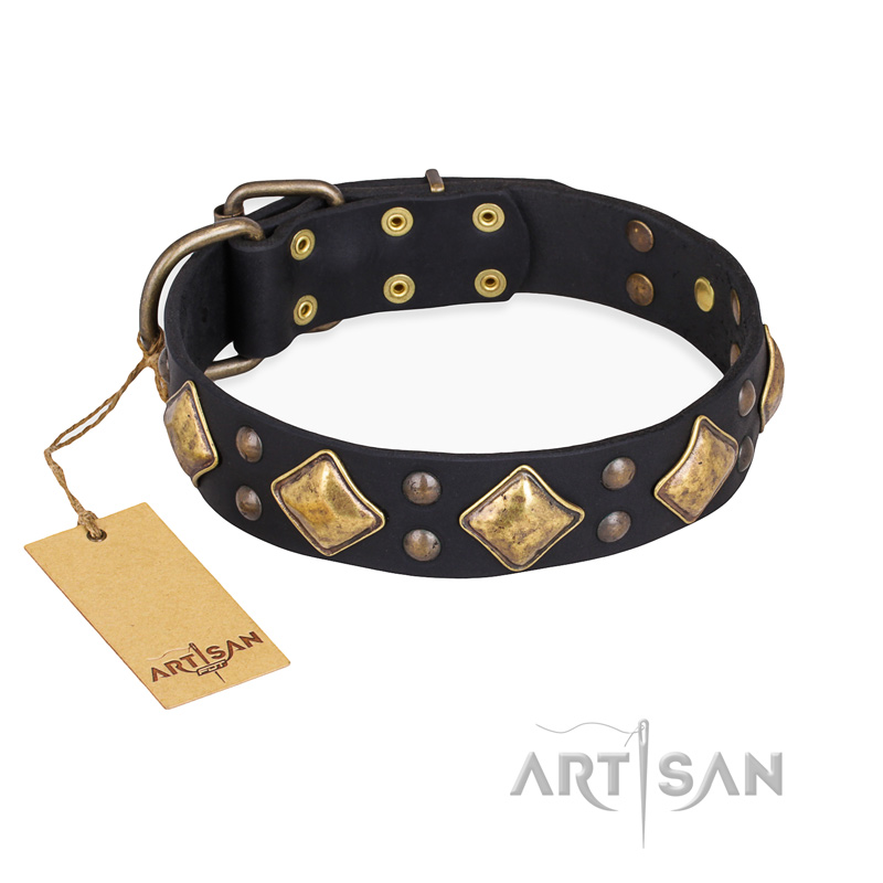 "Fancy-Schmancy" FDT Artisan Studded Leather Rottweiler Collar