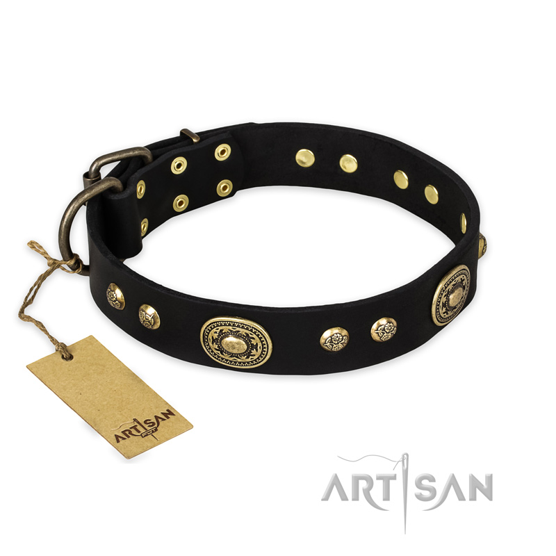 "High Fashion" FDT Artisan Studded with Plates Black Leather Rottweiler Collar