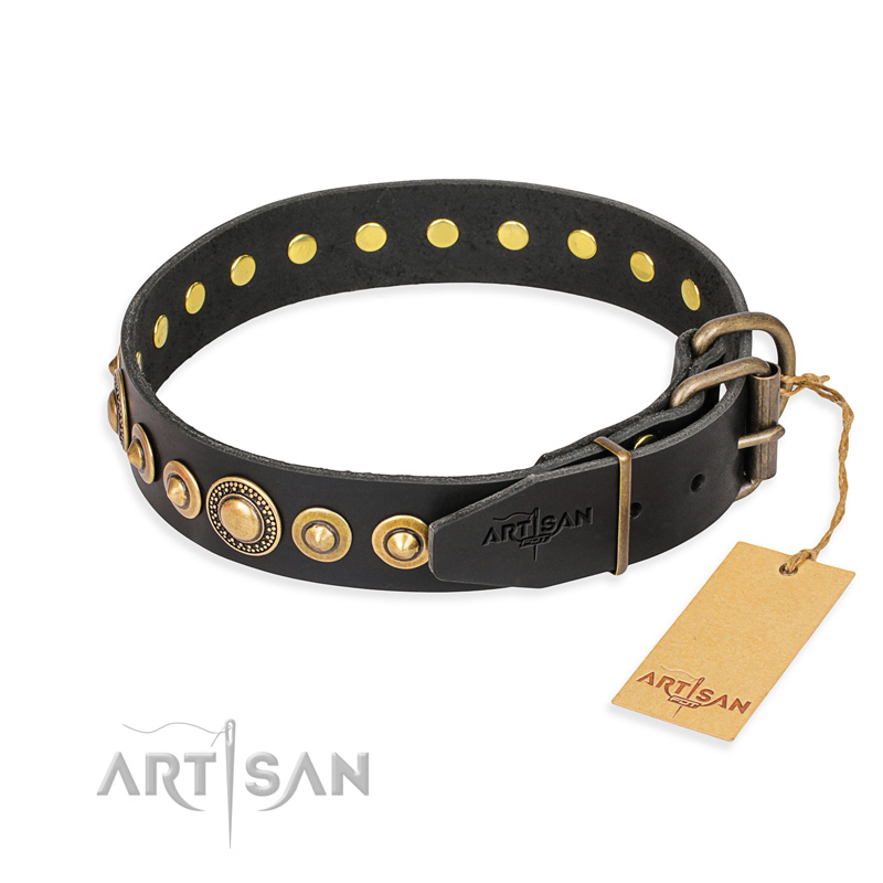 "Gold Mine" FDT Artisan Black Leather Rottweiler Collar with Amazing Bronze-Plated Round Studs