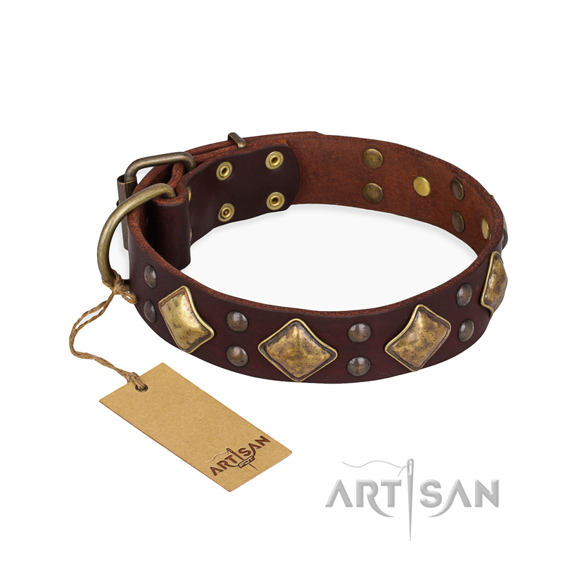"Golden Square" FDT Artisan Brown Leather Rottweiler Collar with Large Squares