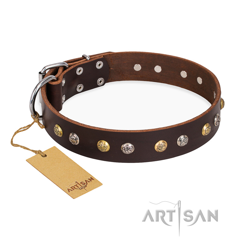 "Golden"n"Silver Luxury" FDT Artisan Leather Rottweiler Collar with Engraved Studs