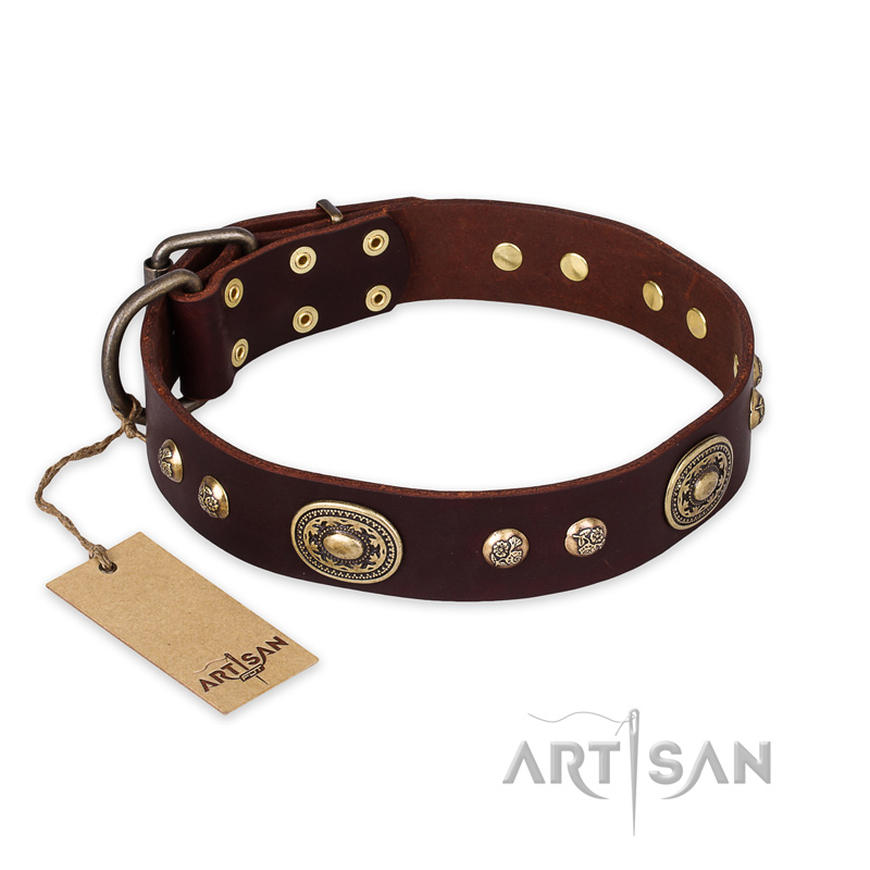 "Breath of Elegance" FDT Artisan Decorated with Plates Brown Leather Rottweiler Collar
