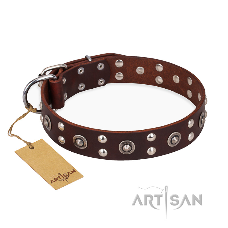 "Pirate Treasure" FDT Artisan Exciting Brown Leather Rottweiler Collar with Studs