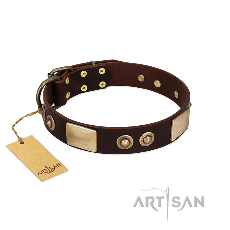 "Sense of Freedom" FDT Artisan Brown Leather Rottweiler Collar with Old Bronze-Plated Studs and Plates