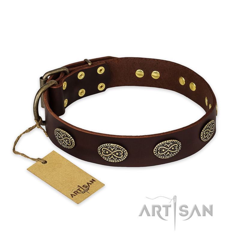 "Chocolate kiss" FDT Artisan Leather Rottweiler Collar with Old Bronze Look Oval Plates