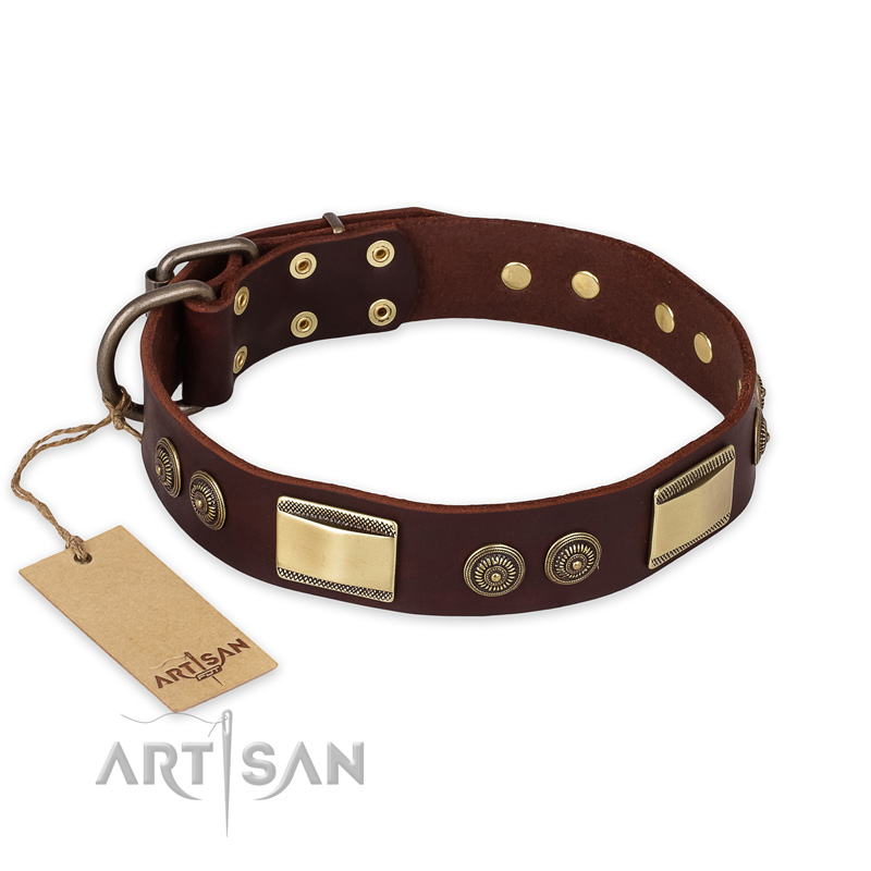 "Golden Stones" FDT Artisan Brown Leather Rottweiler Collar with Old Bronze Look Plates and Circles