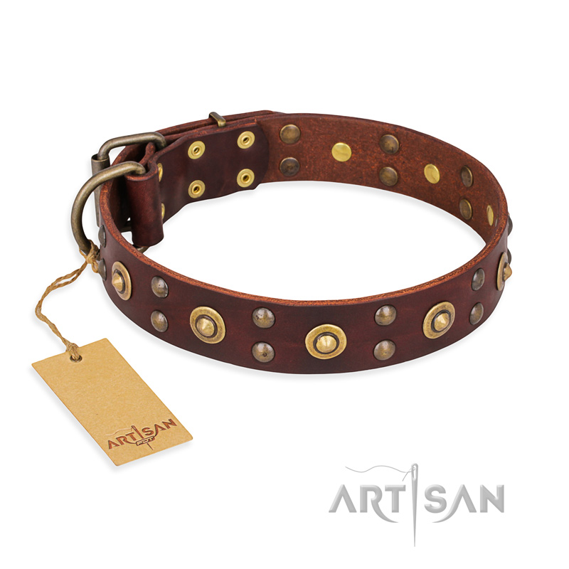 "Caprice of Fashion" FDT Artisan Brown Leather Rottweiler Collar with Round Decorations