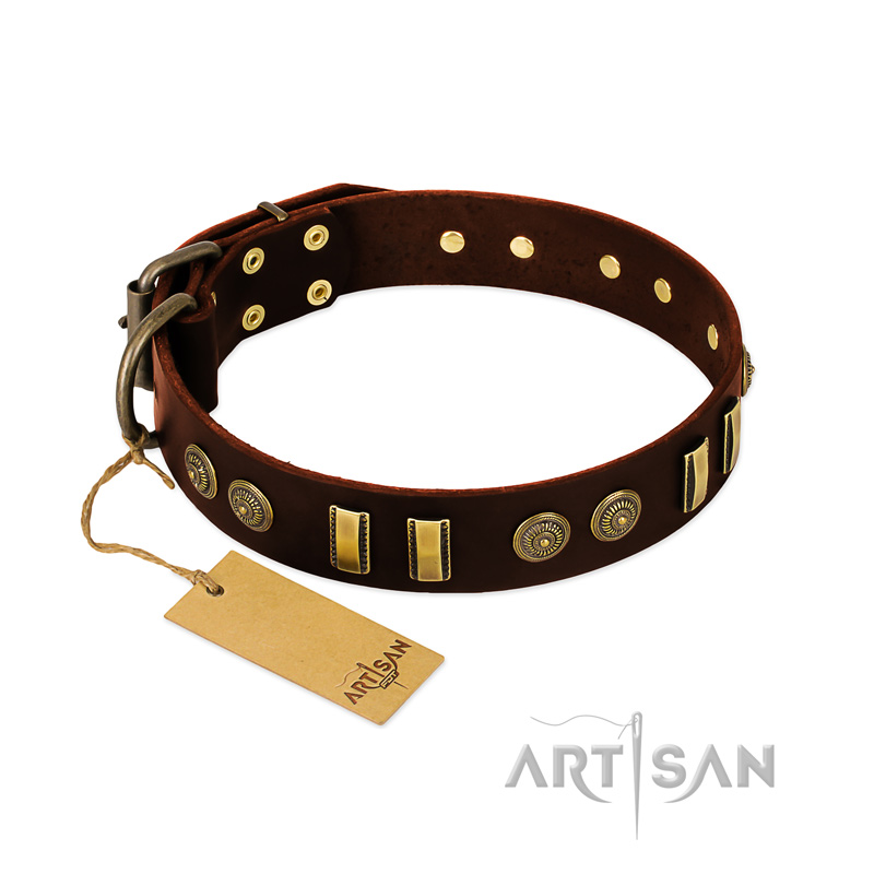 "Golden Elegance" FDT Artisan Brown Leather Rottweiler Collar with Old Bronze-like Decorations