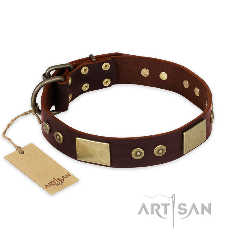 "Shining Armour" FDT Artisan Brown Leather Rottweiler Collar with Decorations