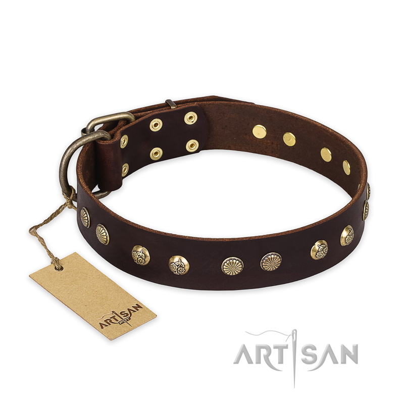 "Bronze Sheen" FDT Artisan Leather Rottweiler Collar with Brass-Plated Studs