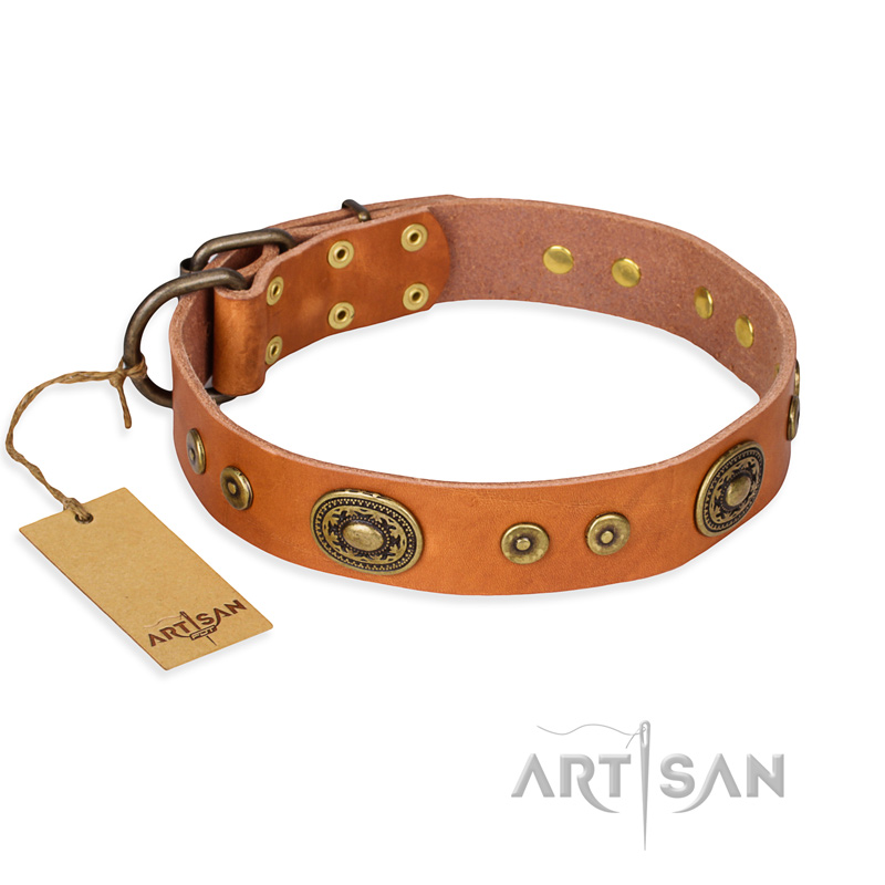 "Dandy Pet" FDT Artisan Handcrafted Tan Leather Rottweiler Collar