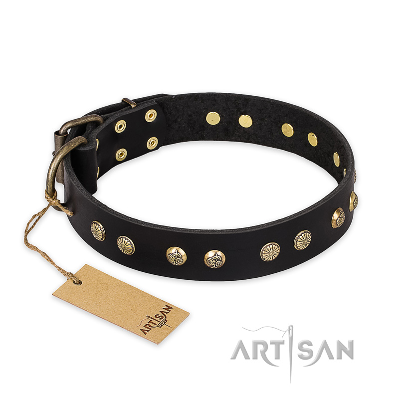 "Black Elegance" FDT Artisan Leather Rottweiler Collar with Round Studs