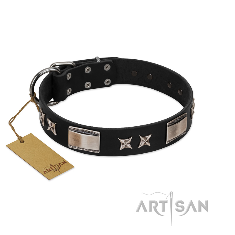 "Pitch Dark" FDT Artisan Black Leather Rottweiler Collar with Stars and Plates