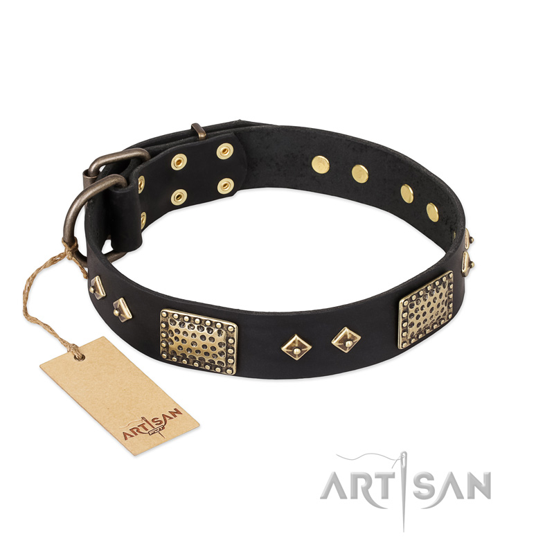 "Jewel Passion" FDT Artisan Fashionable Black Leather Rottweiler Collar