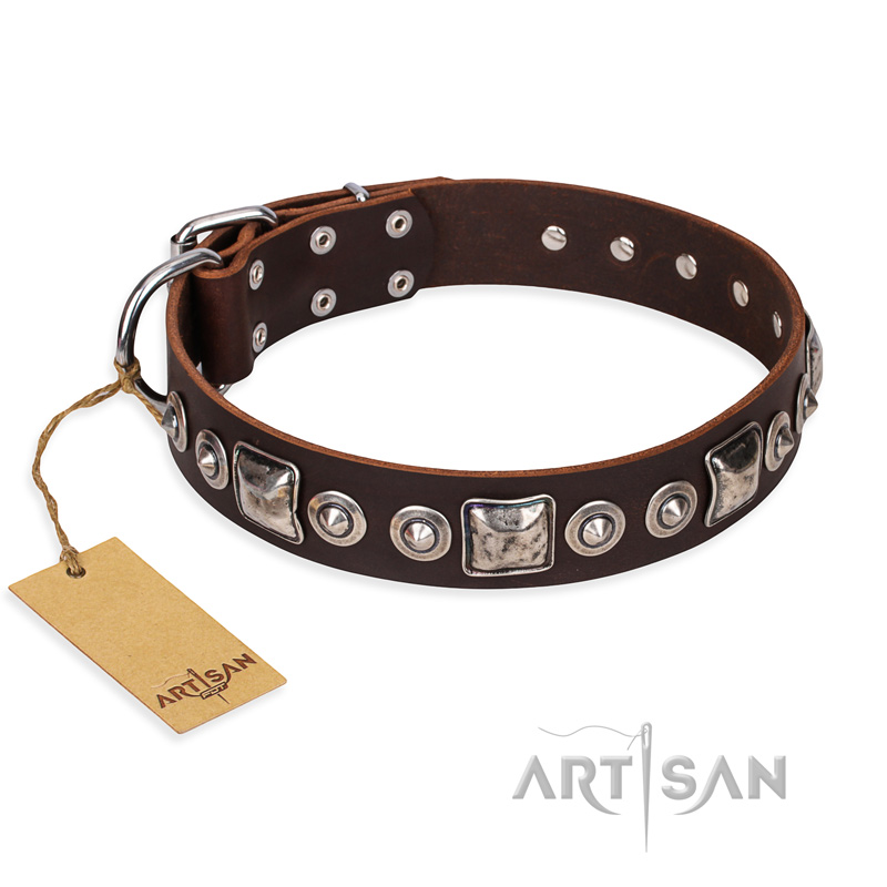 "Pierian spring" FDT Artisan Brown Leather Rottweiler Collar with Silvery Decorations