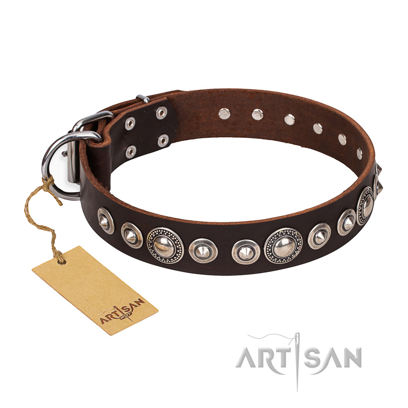 "Step and Sparkle" FDT Artisan Glamorous Studded Brown Leather Rottweiler Collar