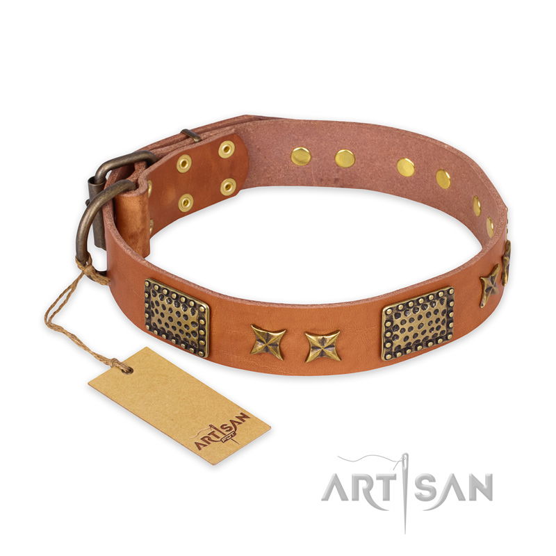 "Cosmic Traveller" FDT Artisan Adorned Leather Rottweiler Collar with Old Bronze-Plated Stars and Plates