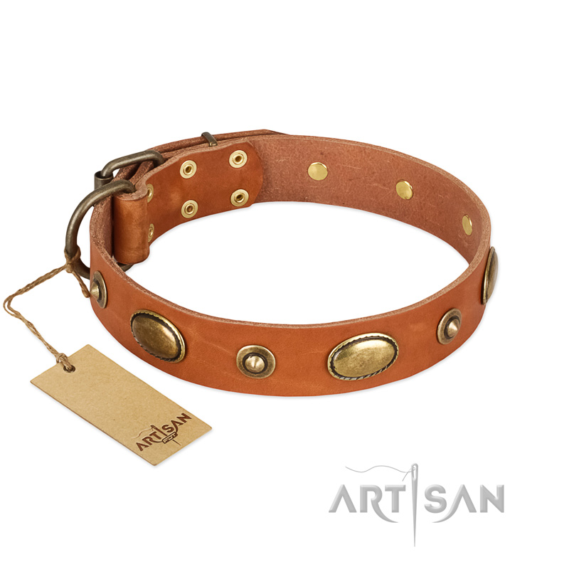 "Visual Magic" FDT Artisan Tan Leather Rottweiler Collar for Daily Activities