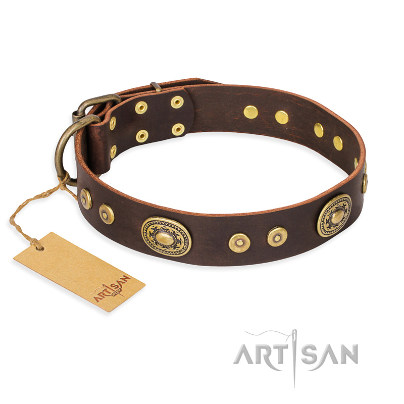 "One-of-a-Kind" FDT Artisan Handmade Decorated Brown Leather Rottweiler Collar