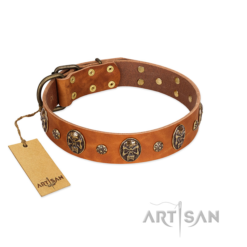 "Rockstar" FDT Artisan Tan Leather Rottweiler Collar with Engraved Studs and Medallions