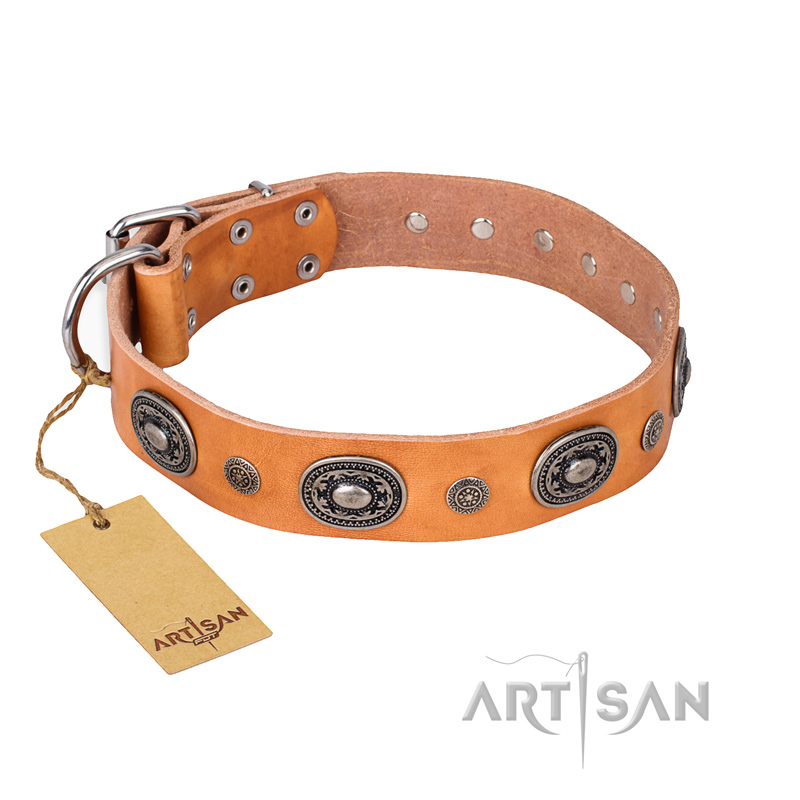 "Twinkle Twinkle" FDT Artisan Incredible Studded Tan Leather Rottweiler Collar