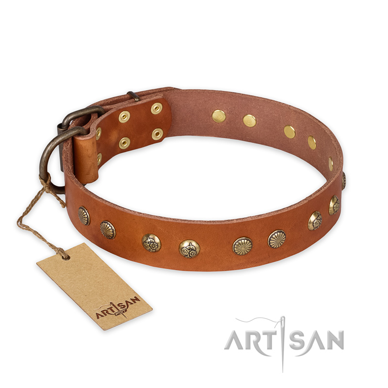 "Spring Flavor" FDT Artisan Adorned Leather Rottweiler Collar with Old Bronze-Plated Engraved Studs
