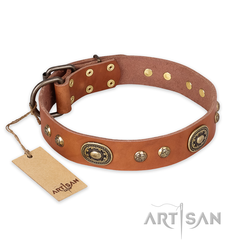 "Stunning Dress" FDT Artisan Tan Leather Rottweiler Collar with Old Bronze Look Plates and Studs