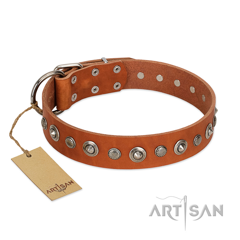 "Gorgeous Roundie" FDT Artisan Tan Leather Rottweiler Collar with Chrome-plated Circles