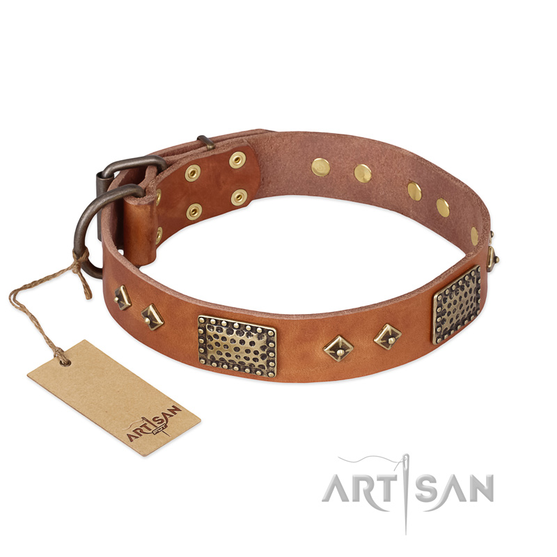 "Catchy Look" FDT Artisan Decorated Tan Leather Rottweiler Collar