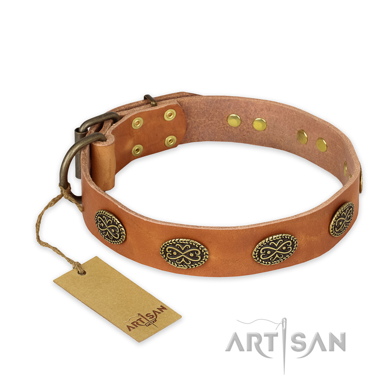 "Magic Amulet" FDT Artisan Tan Leather Rottweiler Collar with Oval Studs