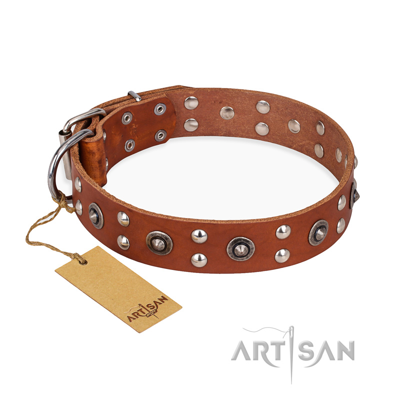 "Silver Elegance" FDT Artisan Decorated Leather Rottweiler Collar with Old Silver-Like Plated Studs and Cones