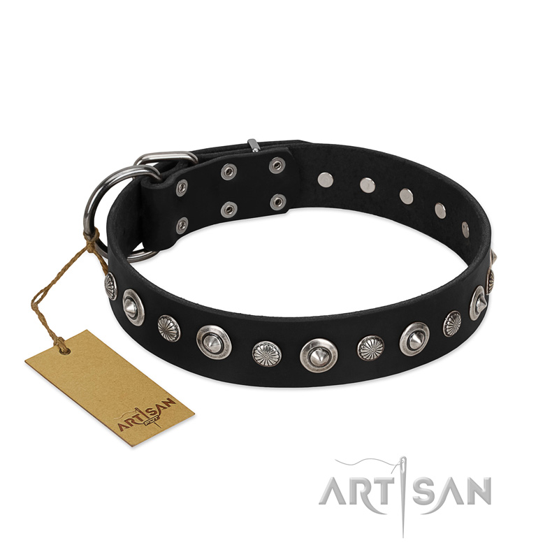 "Genteel Charm" FDT Artisan Black Leather Rottweiler Collar with Silver-like Round Conchos
