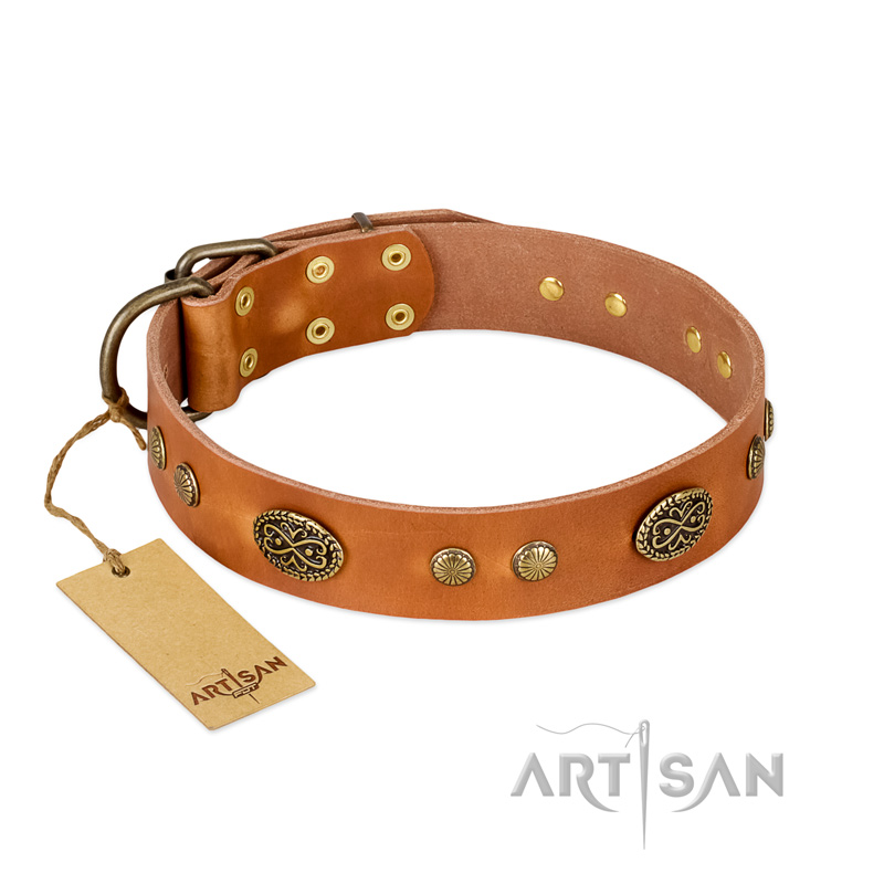 "Sun Beams" FDT Artisan Tan Leather Rottweiler Collar with Decorations