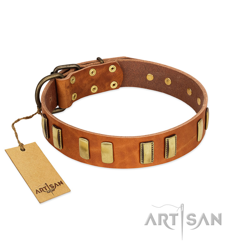 "Olive Slice" FDT Artisan Tan Leather Rottweiler Collar with Engraved and Smooth Plates