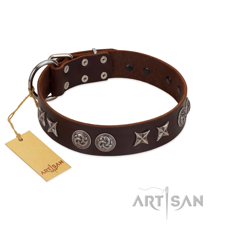 "Silver Sunset" Designer Handmade FDT Artisan Brown Leather Rottweiler Collar