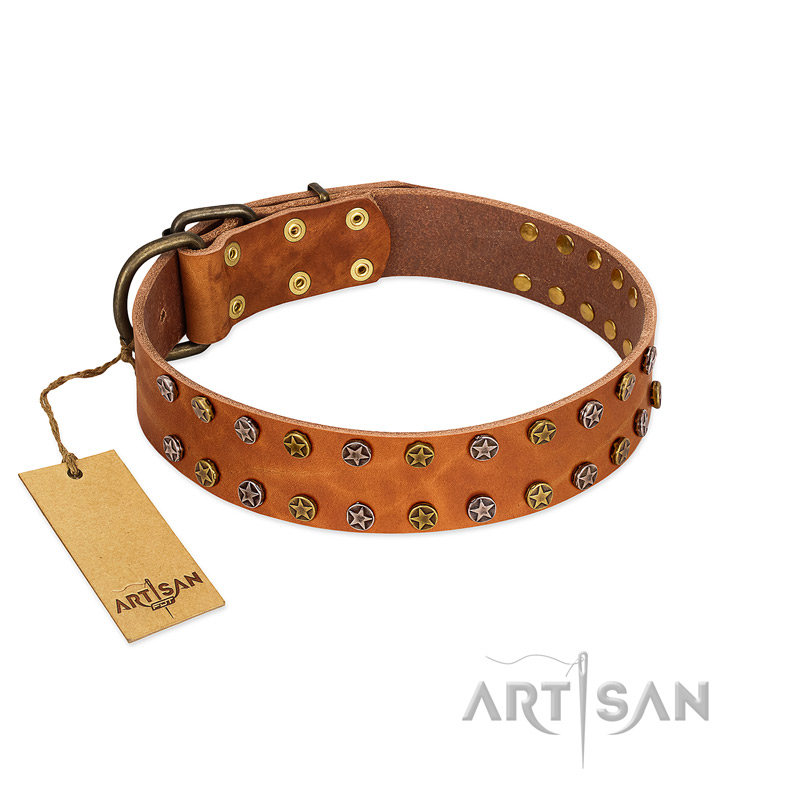 "Walk and Shine" FDT Artisan Tan Leather Rottweiler Collar with Antiqued Studs