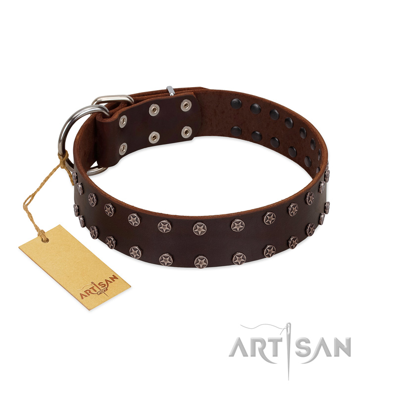 "Star Party" Handmade FDT Artisan Brown Leather Rottweiler Collar with Silver-Like Studs