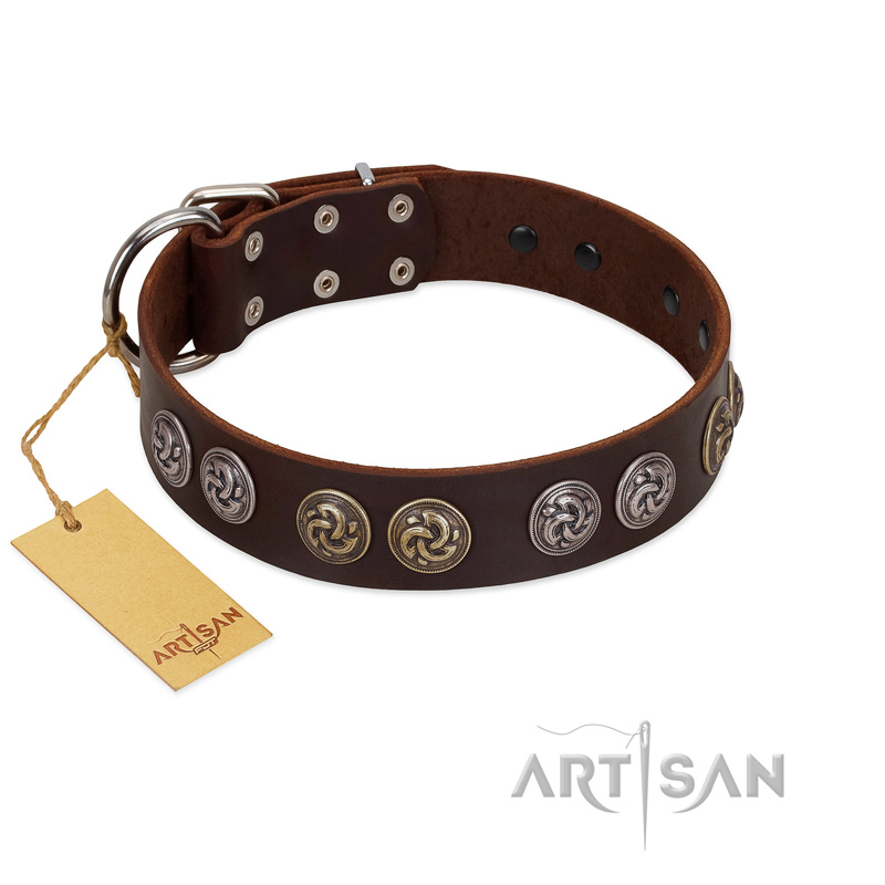 "Treasure Hunter" FDT Artisan Brown Leather Rottweiler Collar with Old-Bronze-like and Silvery Medallions