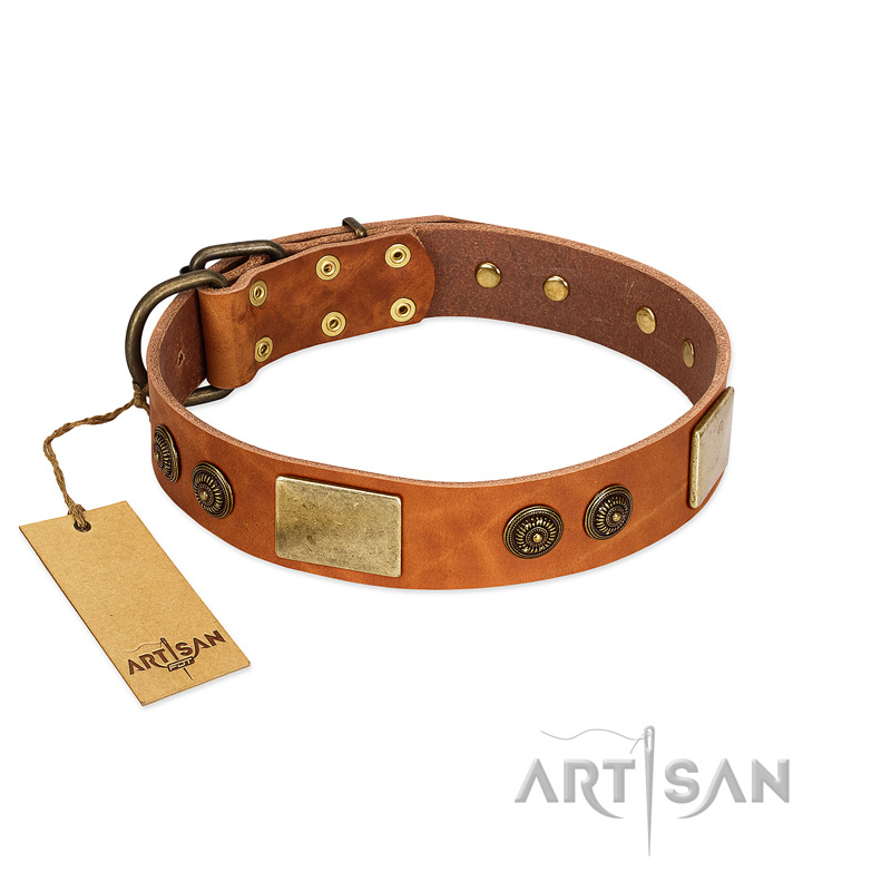 "Bronze Century" FDT Artisan Tan Leather Rottweiler Collar with Plates and Brooches with Cool Ornament
