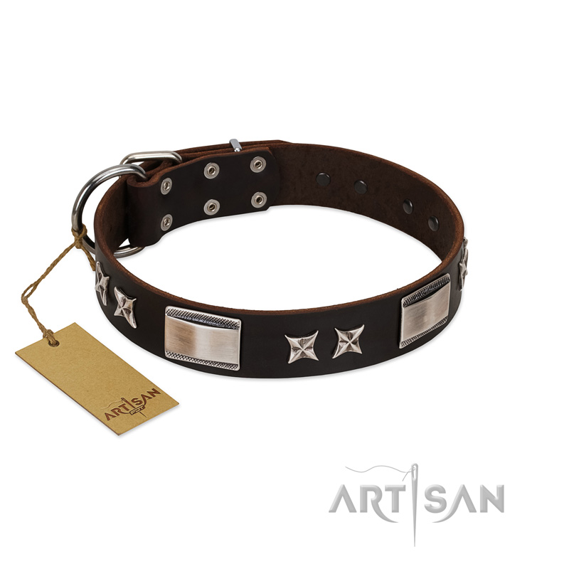"Satin Beauts" FDT Artisan Brown Leather Rottweiler Collar with Stars and Plates
