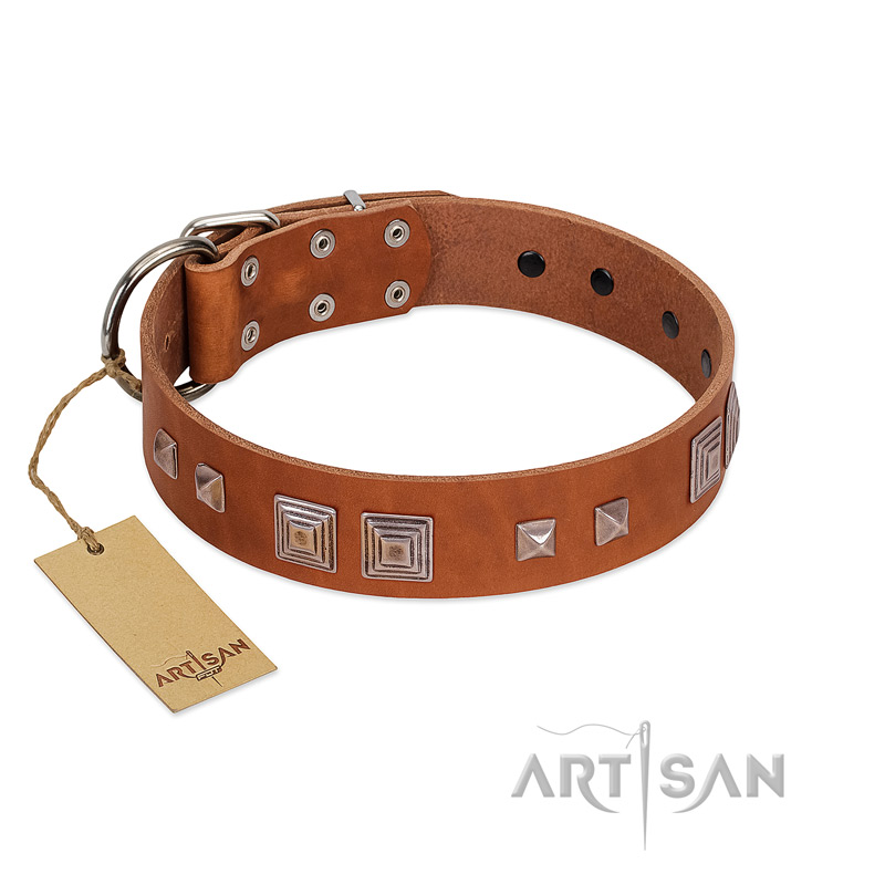 "Egyptian Gifts" Handmade FDT Artisan Tan Leather Rottweiler Collar with Chrome-plated Pyramids