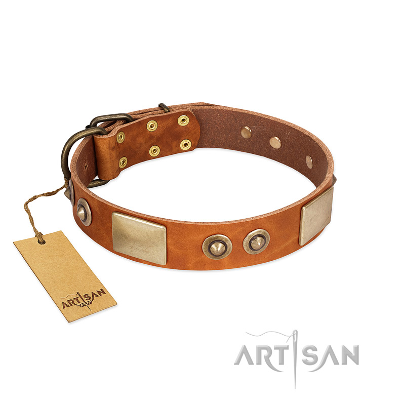 "Perfect Blend" FDT Artisan Tan Leather Rottweiler Collar 1 1/2 inch (40 mm) wide