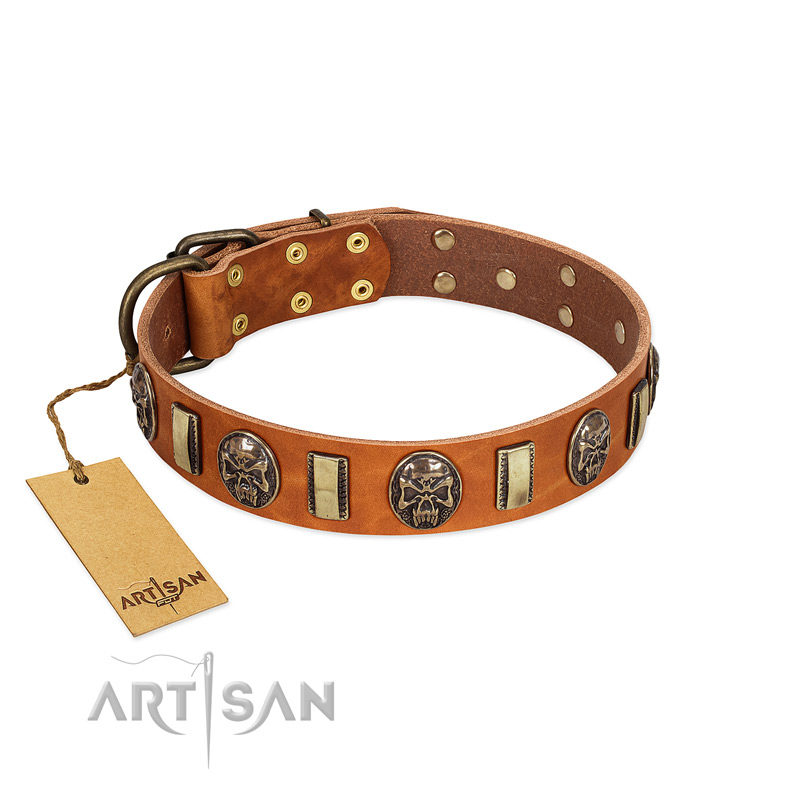"Strike of Rock" FDT Artisan Tan Leather Rottweiler Collar with Plates and Medallions with Skulls