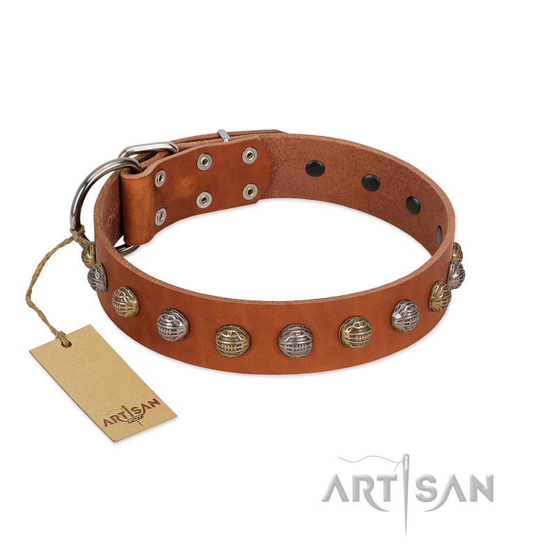 "Dogue-Vogue" FDT Artisan Tan Leather Rottweiler Collar with Engraved Chrome-plated Studs - Click Image to Close