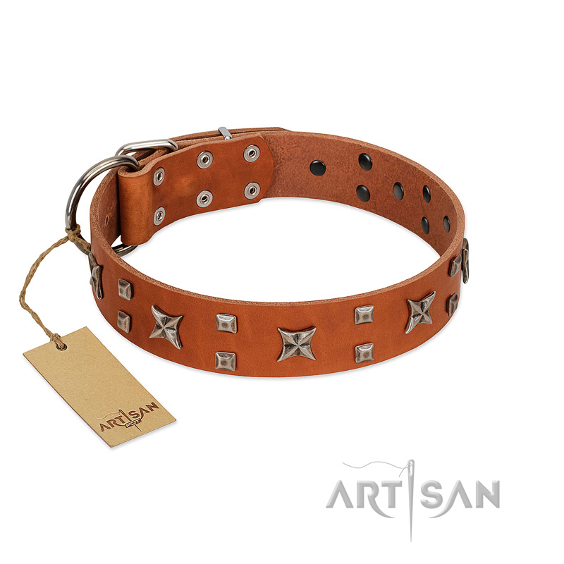 "Faraway Galaxy" FDT Artisan Tan Leather Rottweiler Collar Adorned with Stars and Squares
