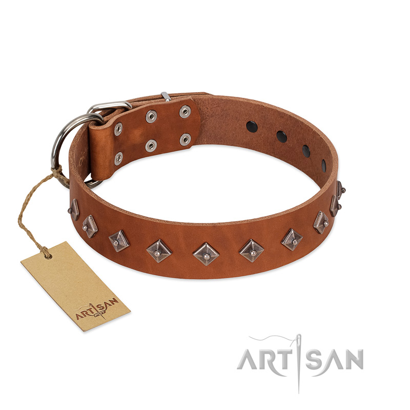"Broadway" Handmade FDT Artisan Tan Leather Rottweiler Collar with Dotted Pyramids