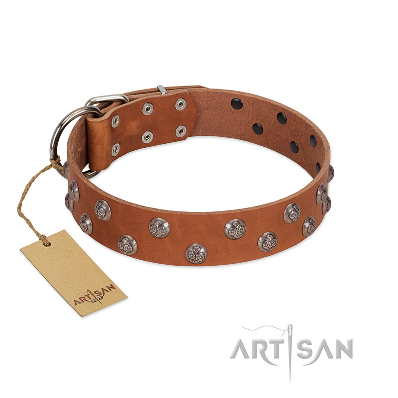 "Waltz of the Flowers" Handmade FDT Artisan Tan Leather Rottweiler Collar with Chrome-plated Engraved Studs