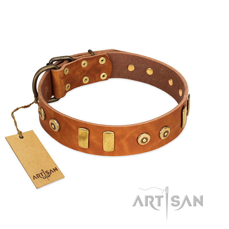 "Egyptian Script" FDT Artisan Tan Leather Rottweiler Collar with Plates and Small Studs